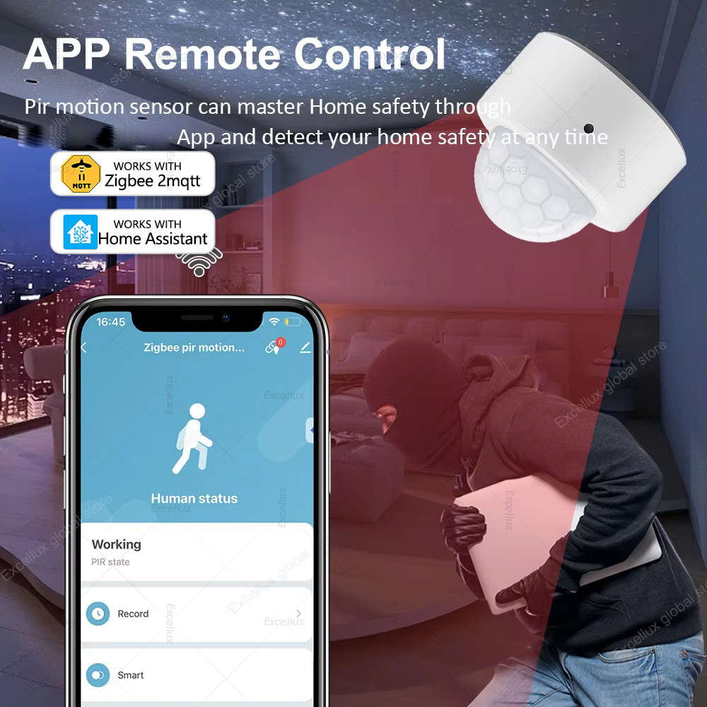 ZigBee PIR Motion Sensor Mini  - đánh giá và giá Home Security With Alarm