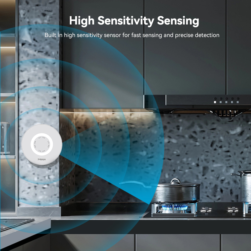 Meian Zigbee Gas Detector Tuya - đánh giá và giá Home Security With Ai