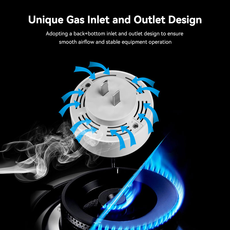 Meian Zigbee Gas Detector Tuya - đánh giá và giá Home Security With Ai