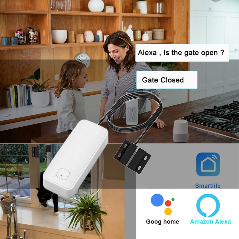 Smart Door Window Magnetic Det - đánh giá và giá Home Security With Ai